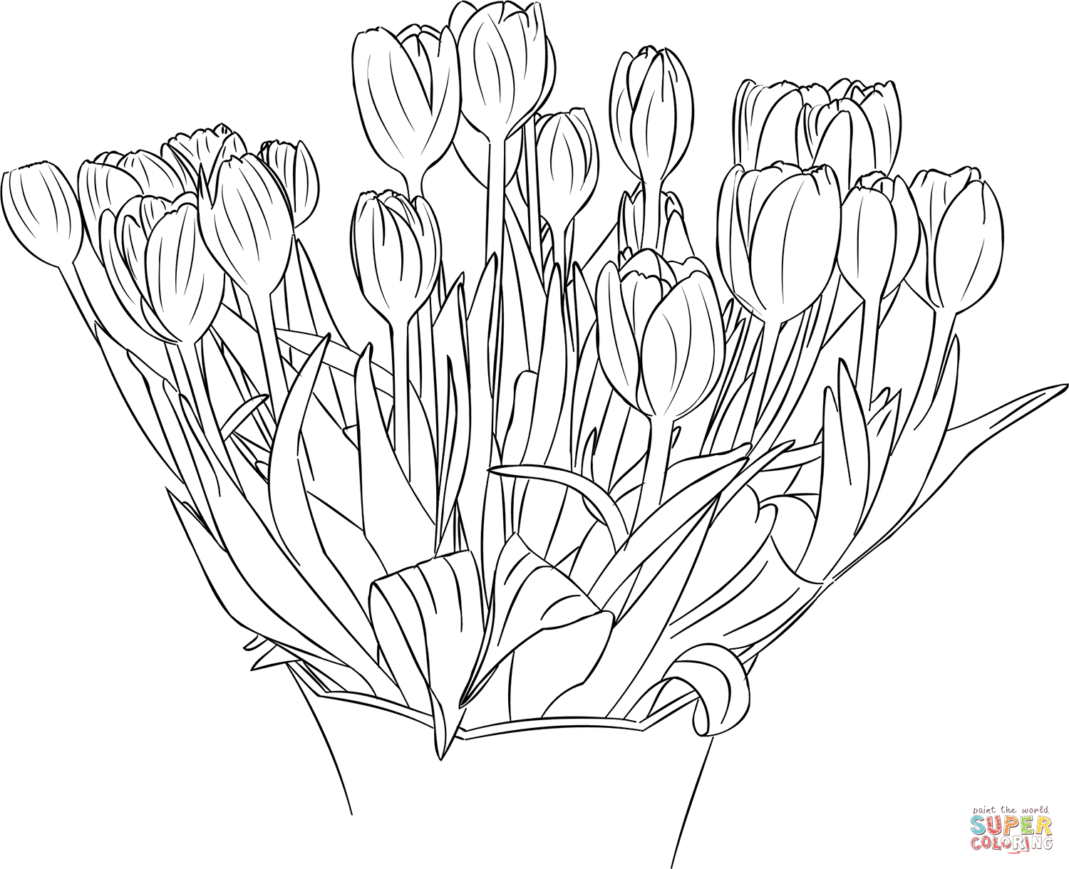 Tulipanes de tulipán