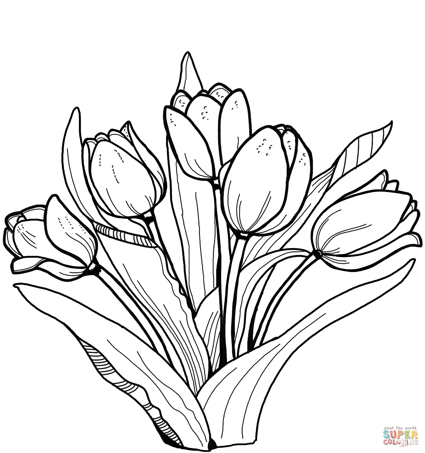 Tulips Coloring Pages