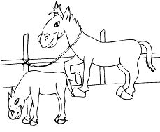 Two Cute Little Ponies Coloring Page