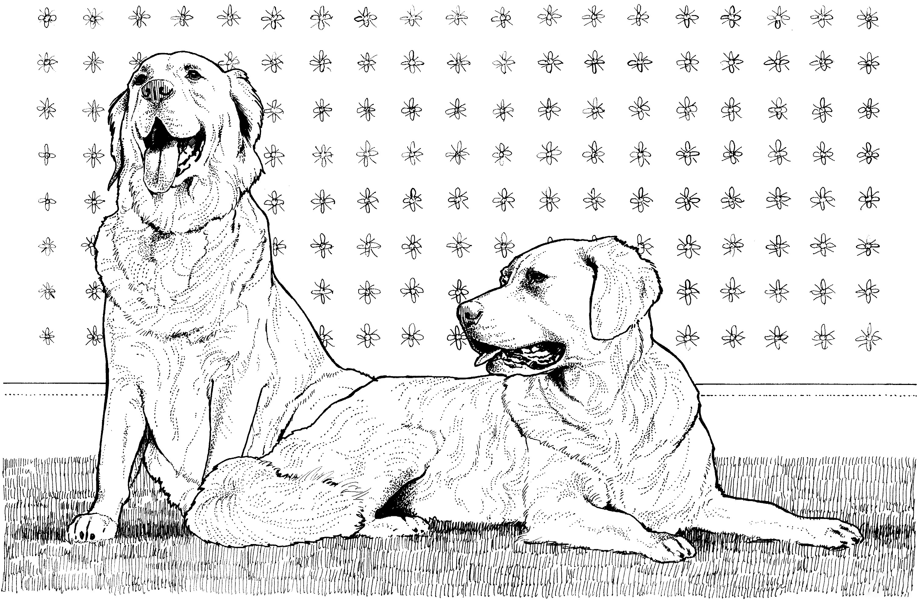 Dos perros perdigueros de oro de perros