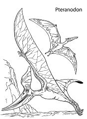 Two Pteranodons Dinosaurs Coloring Page