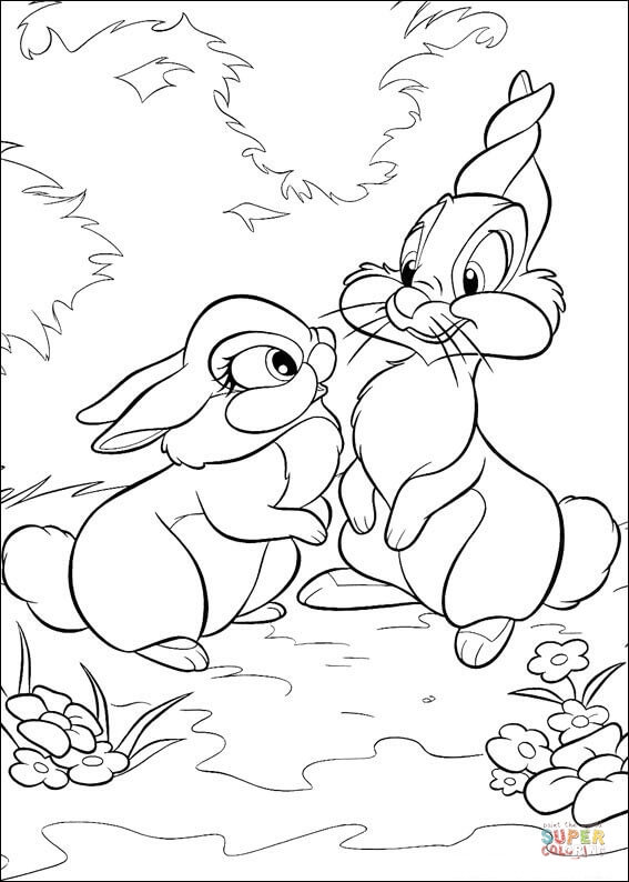 《小鹿斑比》中的两只兔子《兔子》
