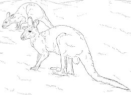 Two Red Kangaroos Coloring Pages