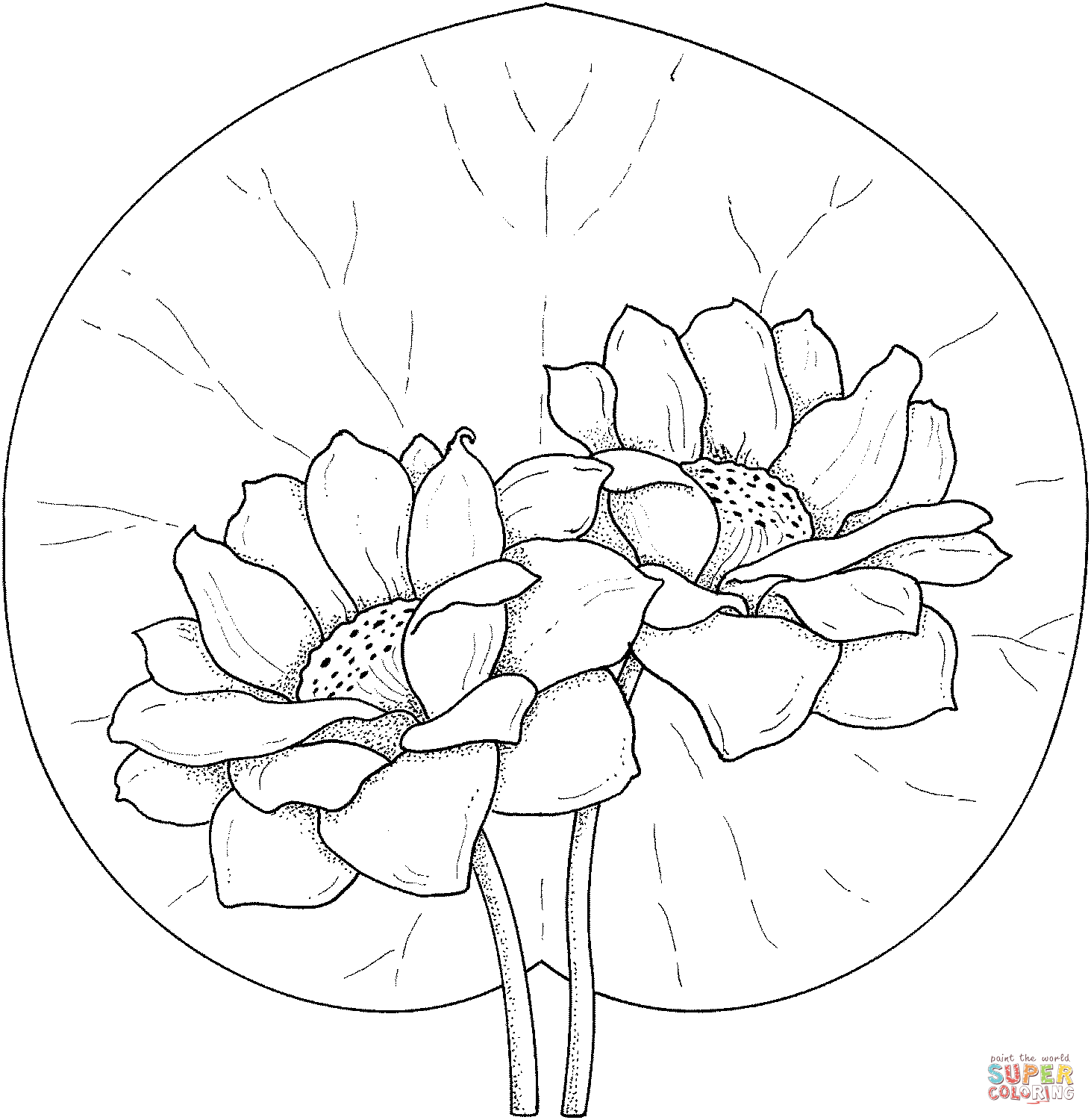 Two Water Lilies Coloring Pages