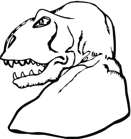 Tyrannosaurus Head 2 Coloring Pages