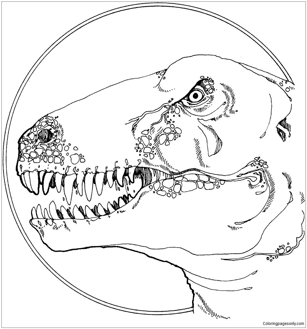 Download Tyrannosaurus Head Coloring Pages - Dinosaurs Coloring Pages - Free Printable Coloring Pages Online