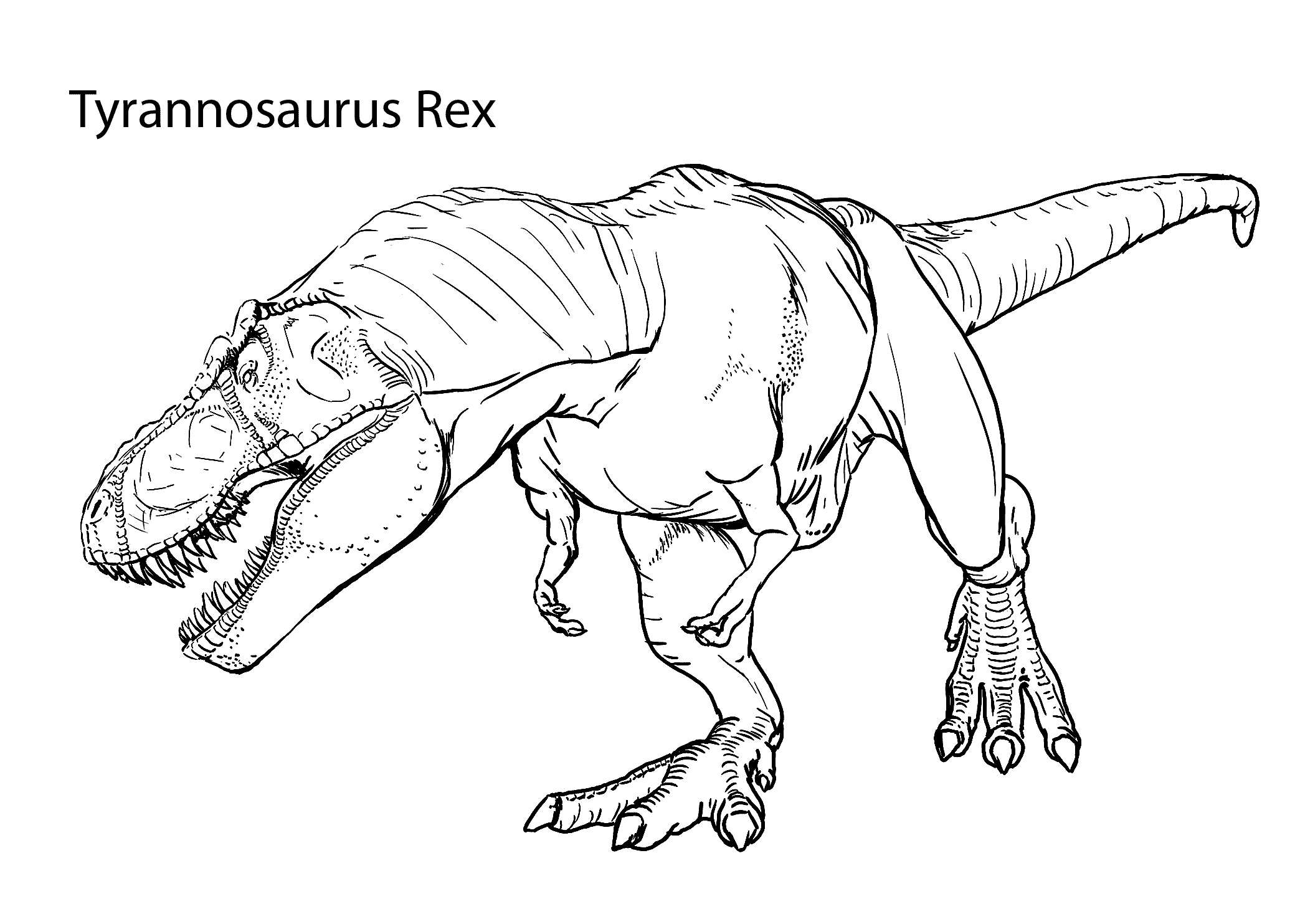 Tyrannosaurus Rex Coloring Pages - Dinosaurs Coloring ...