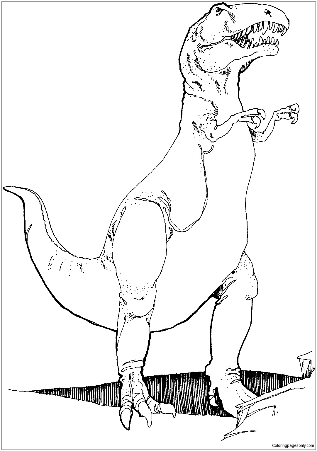 Tyrannosaurus T. Rex Coloring Page