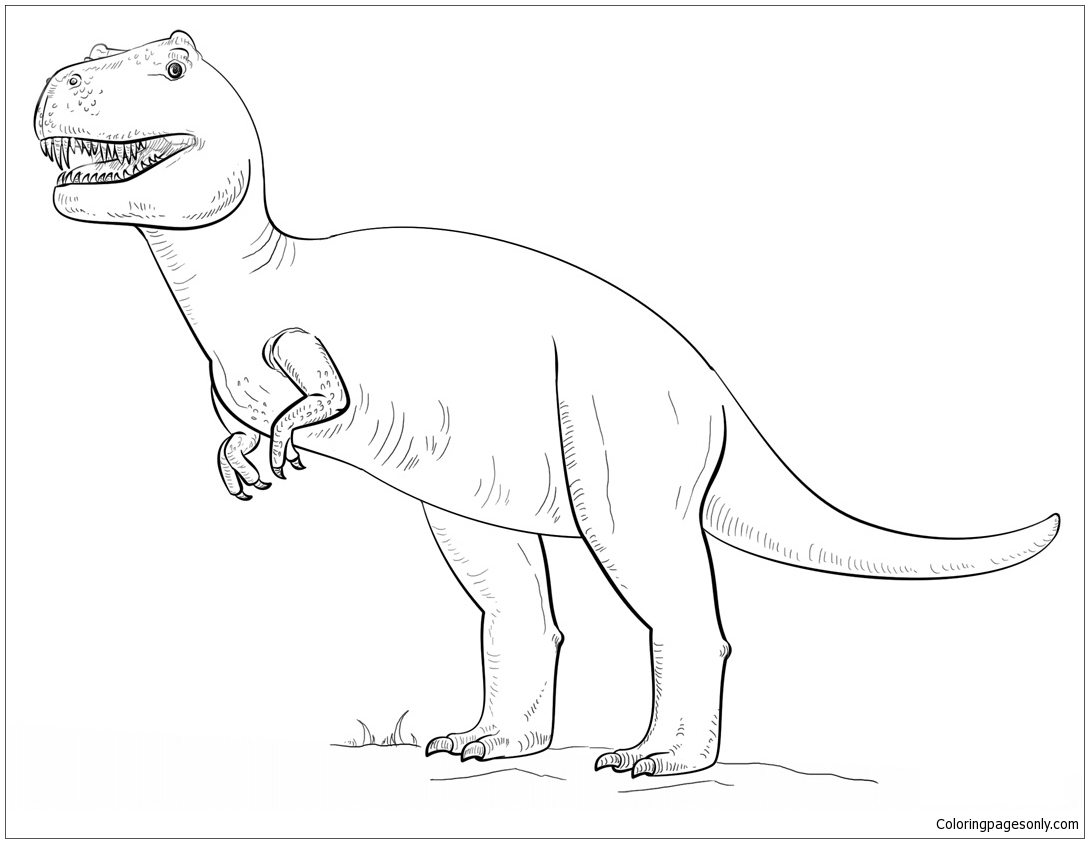 Tyranossaurus Rex from Tyrannosaurus
