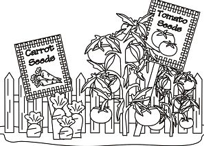 Vegetable Garden Coloring Page