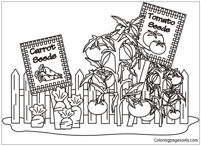 Vegetable Garden Coloring Pages