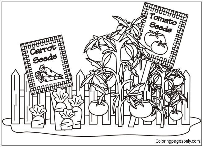 vegetable garden coloring pages gardens coloring pages coloring pages for kids and adults