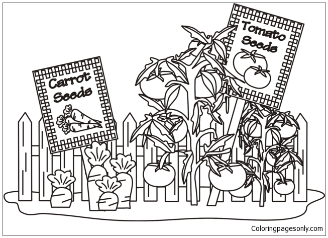 Vegetable Garden Coloring Pages Gardens Coloring Pages Coloring Pages For Kids And Adults