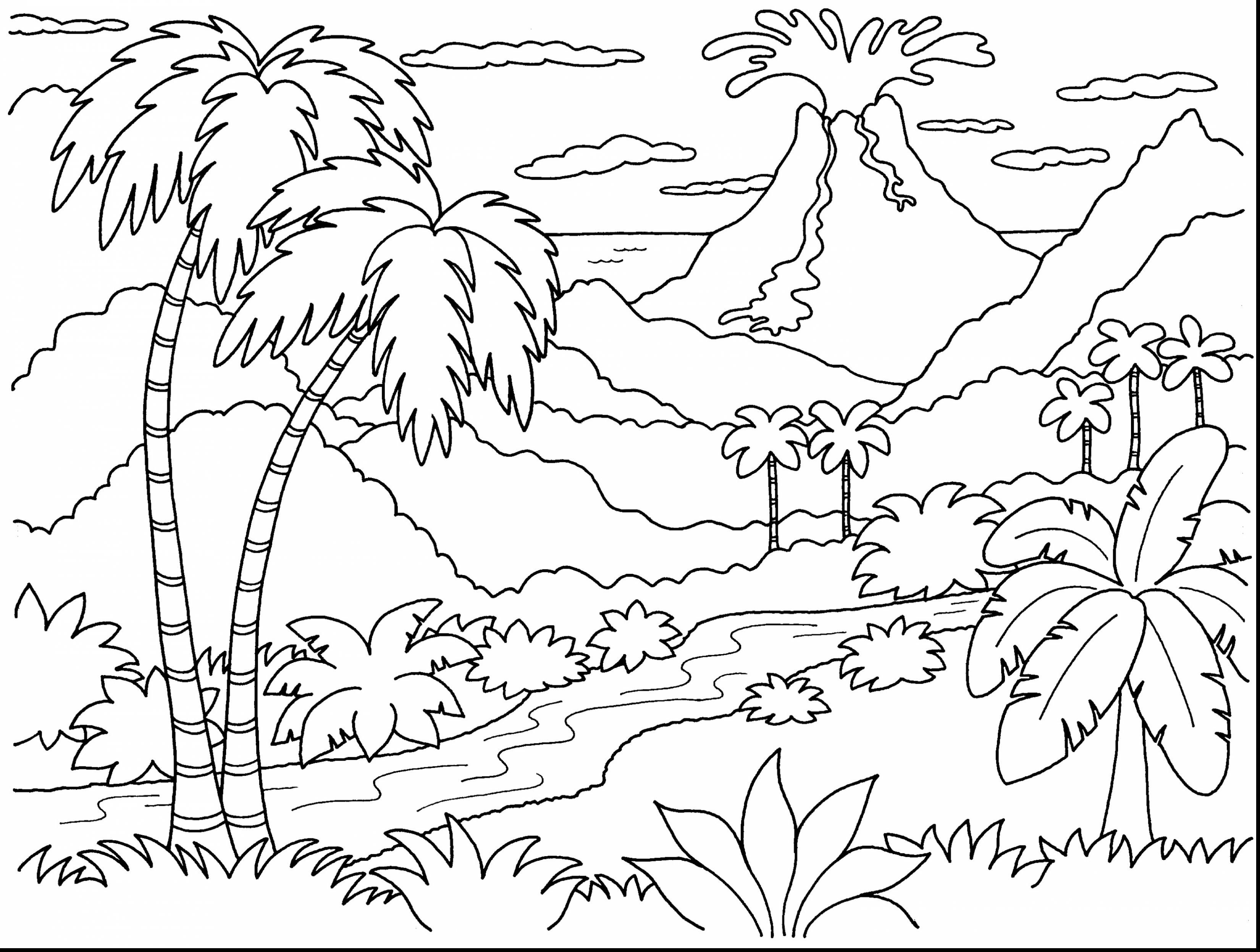 Volcano In The Forest Coloring Pages