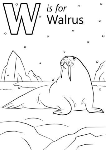 W is for Walrus Coloring Page