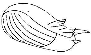 Wailord Pokemon Coloring Page