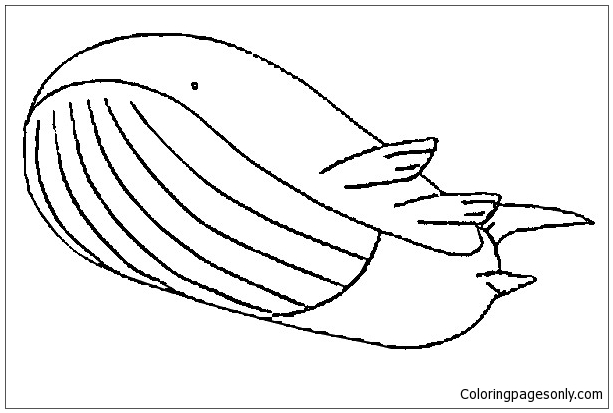 walrein coloring pages printable pokemon