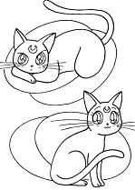 Warrior Cats Coloring Page