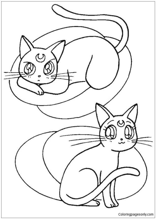 Desenho para colorir de gatos guerreiros