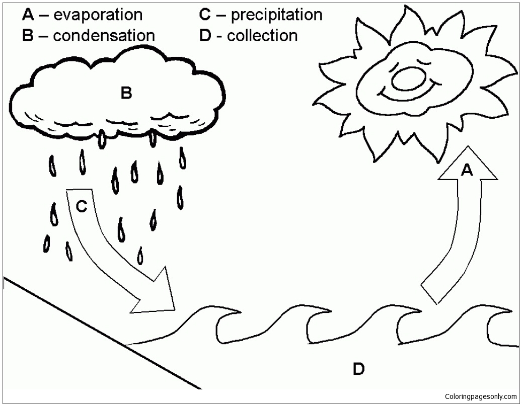 water cycle for kids coloring page