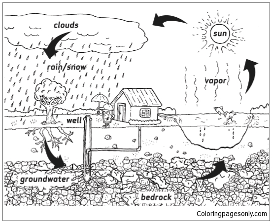 Download Water Cycle 1 Coloring Pages - Nature & Seasons Coloring Pages - Free Printable Coloring Pages ...