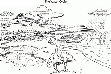 Water Cycle 4 Coloring Page