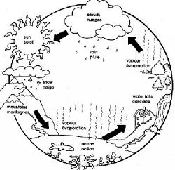 Water Cycle Precipitation Coloring Pages