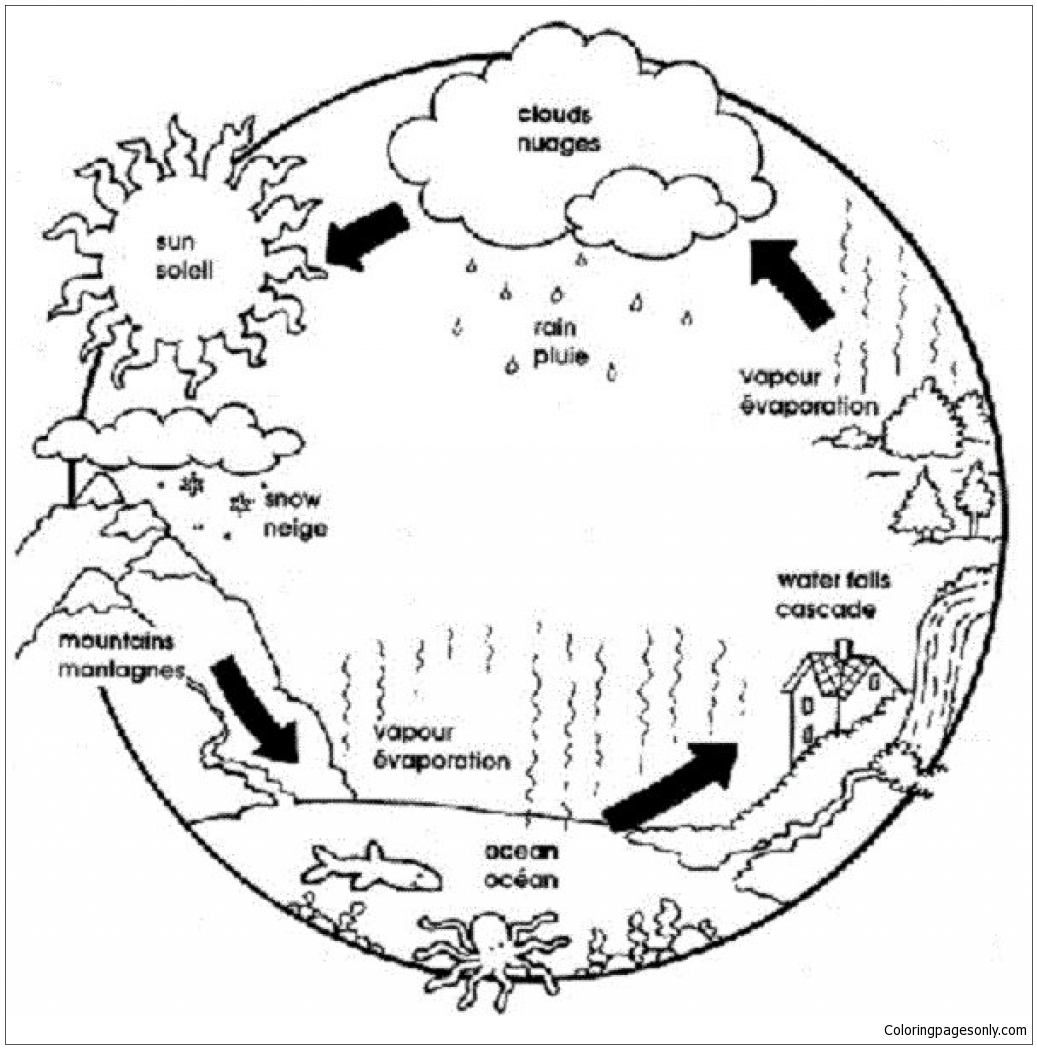 Precipitación del ciclo del agua a partir de precipitaciones
