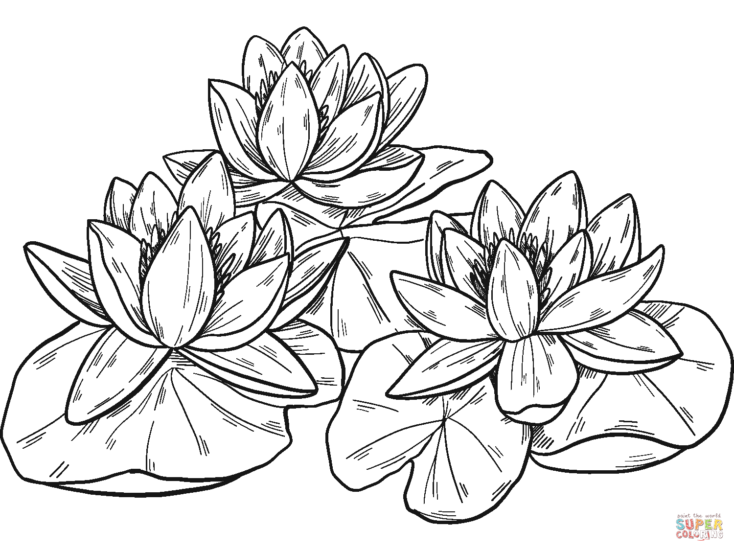 Water Lilies Coloring Page