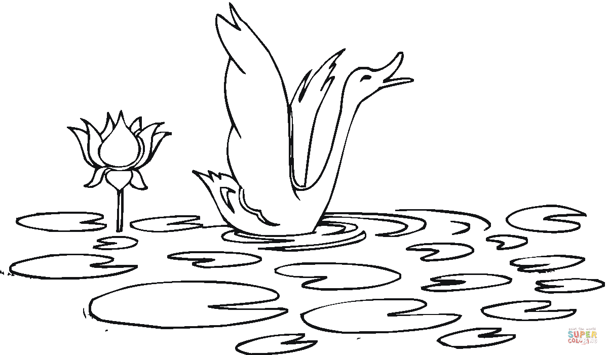 Waterlelie en zwaan van Waterlelie