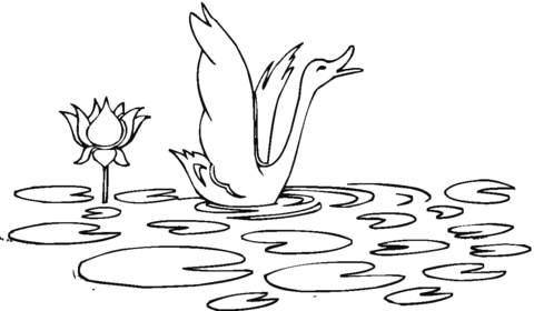 Water Lily And Swan Coloring Page