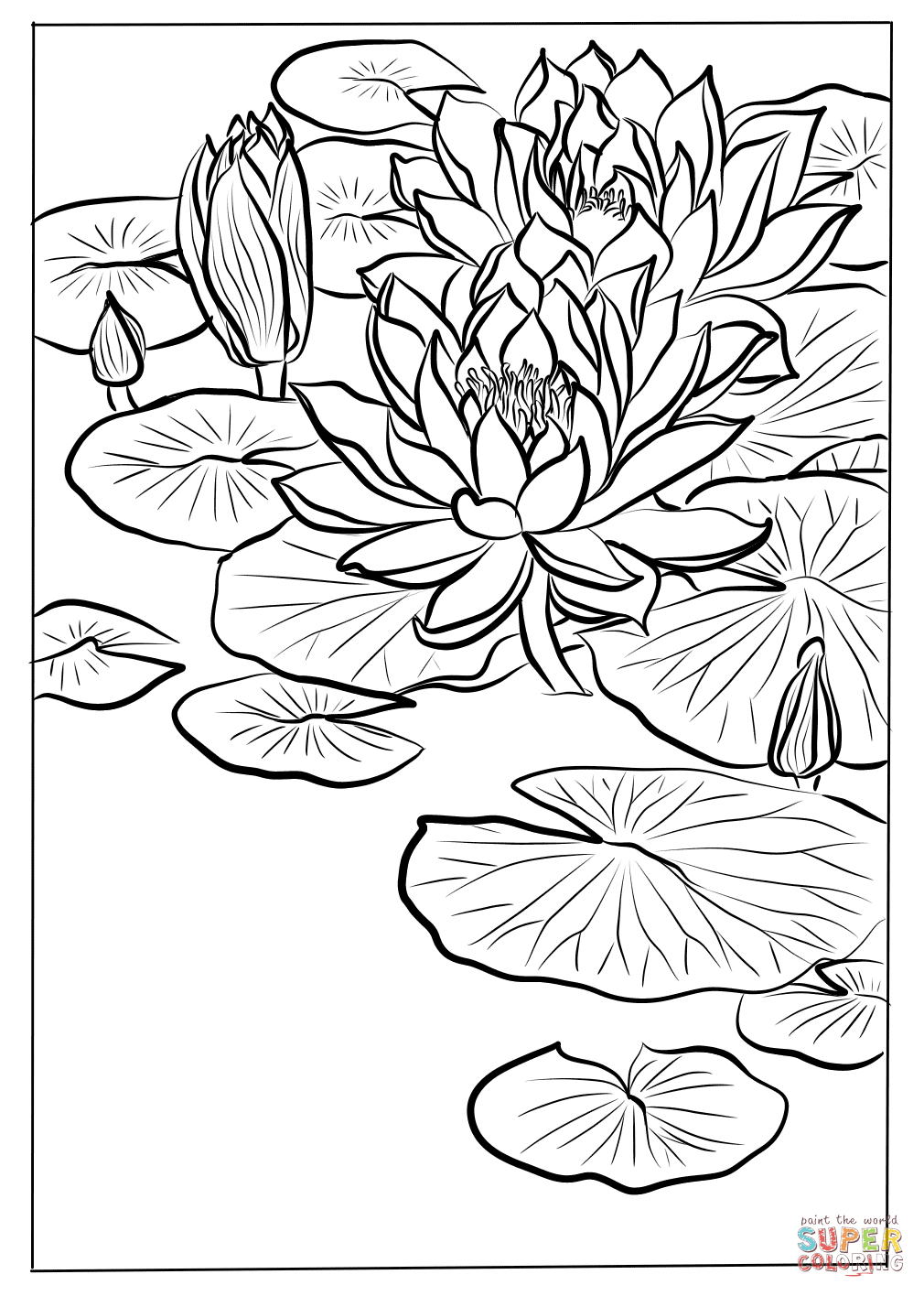 Water Lily By Ohara Koson Coloring Pages