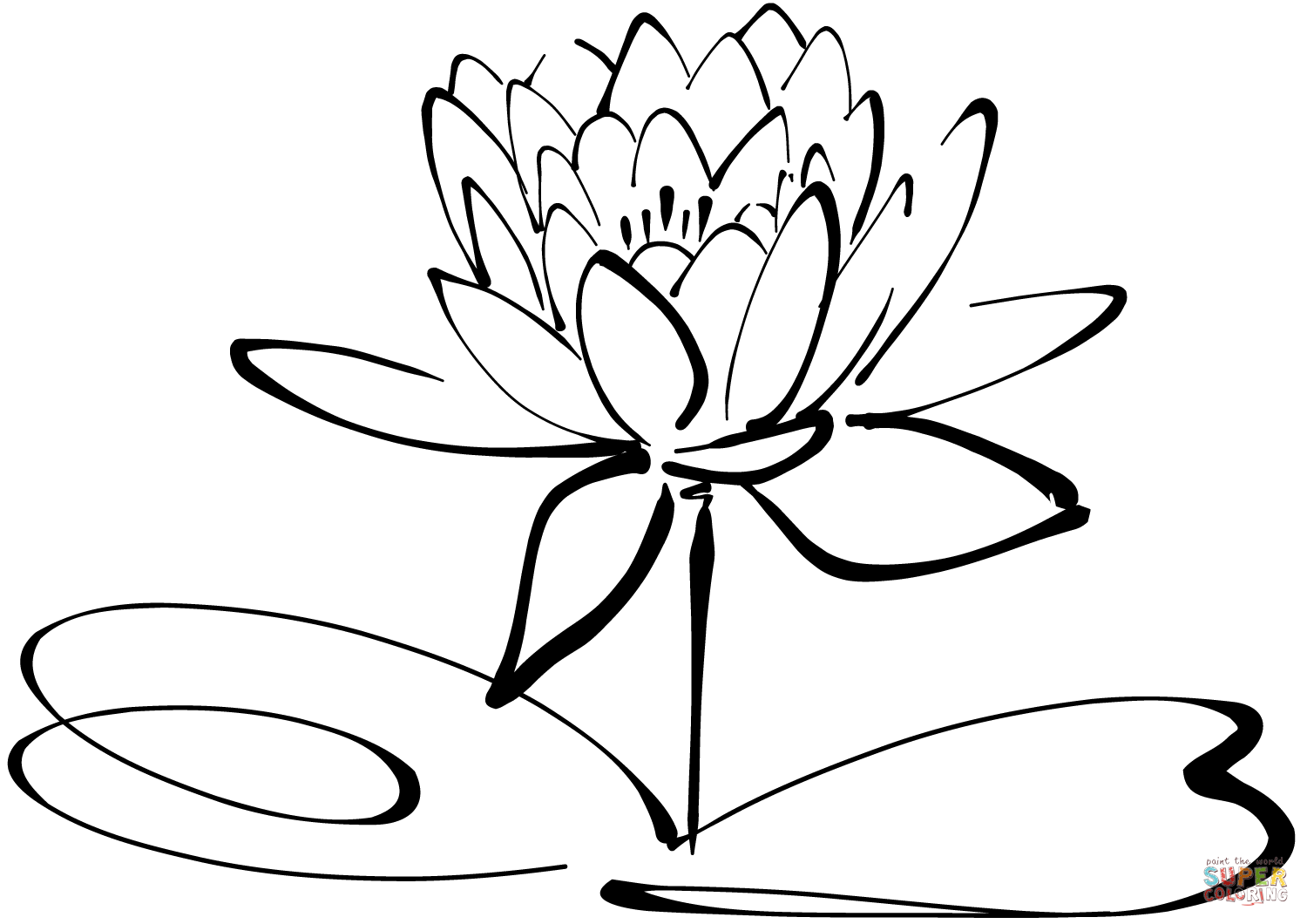 Seerose von Water Lily