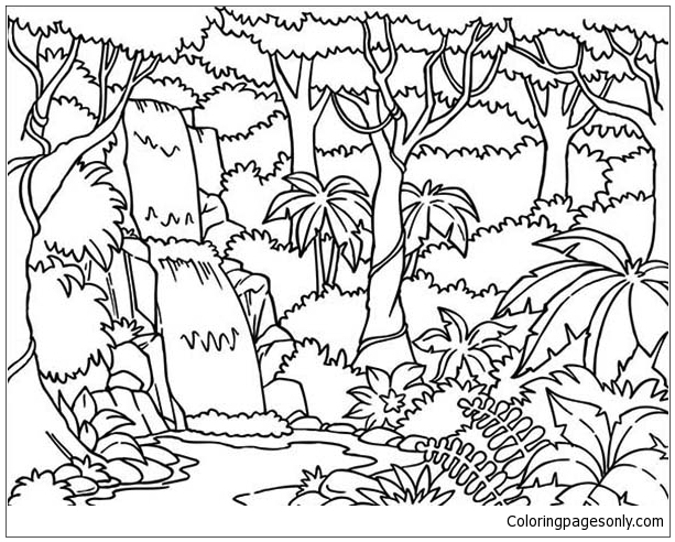 Waterfall In The Forest Coloring Pages
