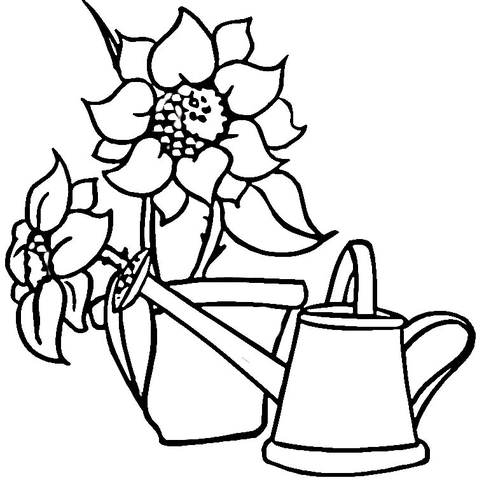 Watering Can and Sunflowers Coloring Pages
