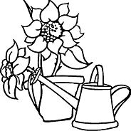 Watering Can and Sunflowers Coloring Page