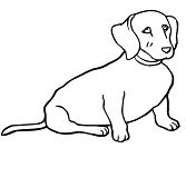 Weiner Dog Coloring Pages