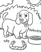 Weiner Dog Puppy Coloring Page