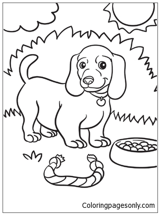 Pagina da colorare del cucciolo di cane Weiner