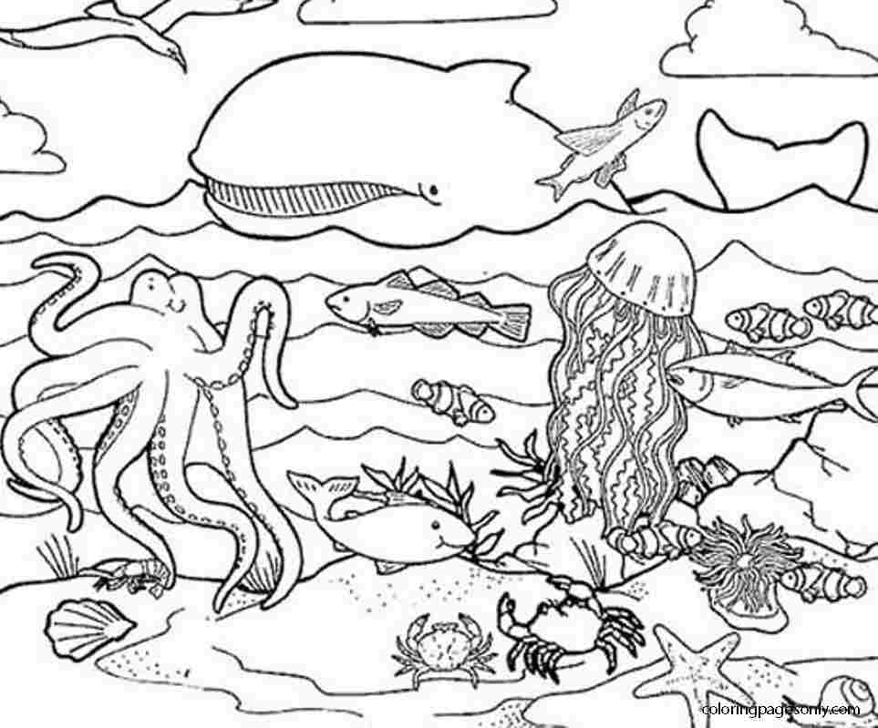 Whale, Octopus and other animals play on the ocean floor Coloring Page