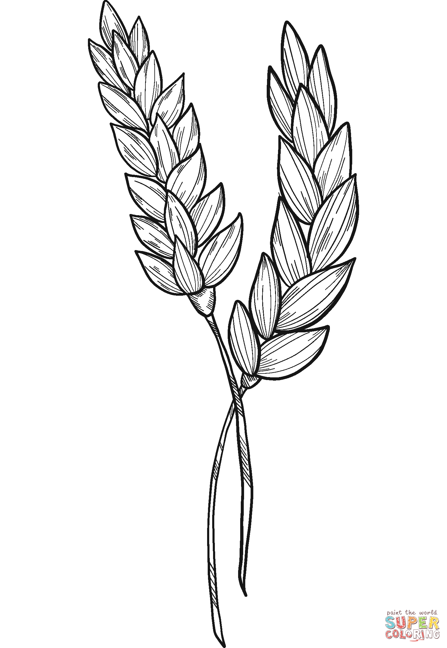 Wheat Coloring Pages