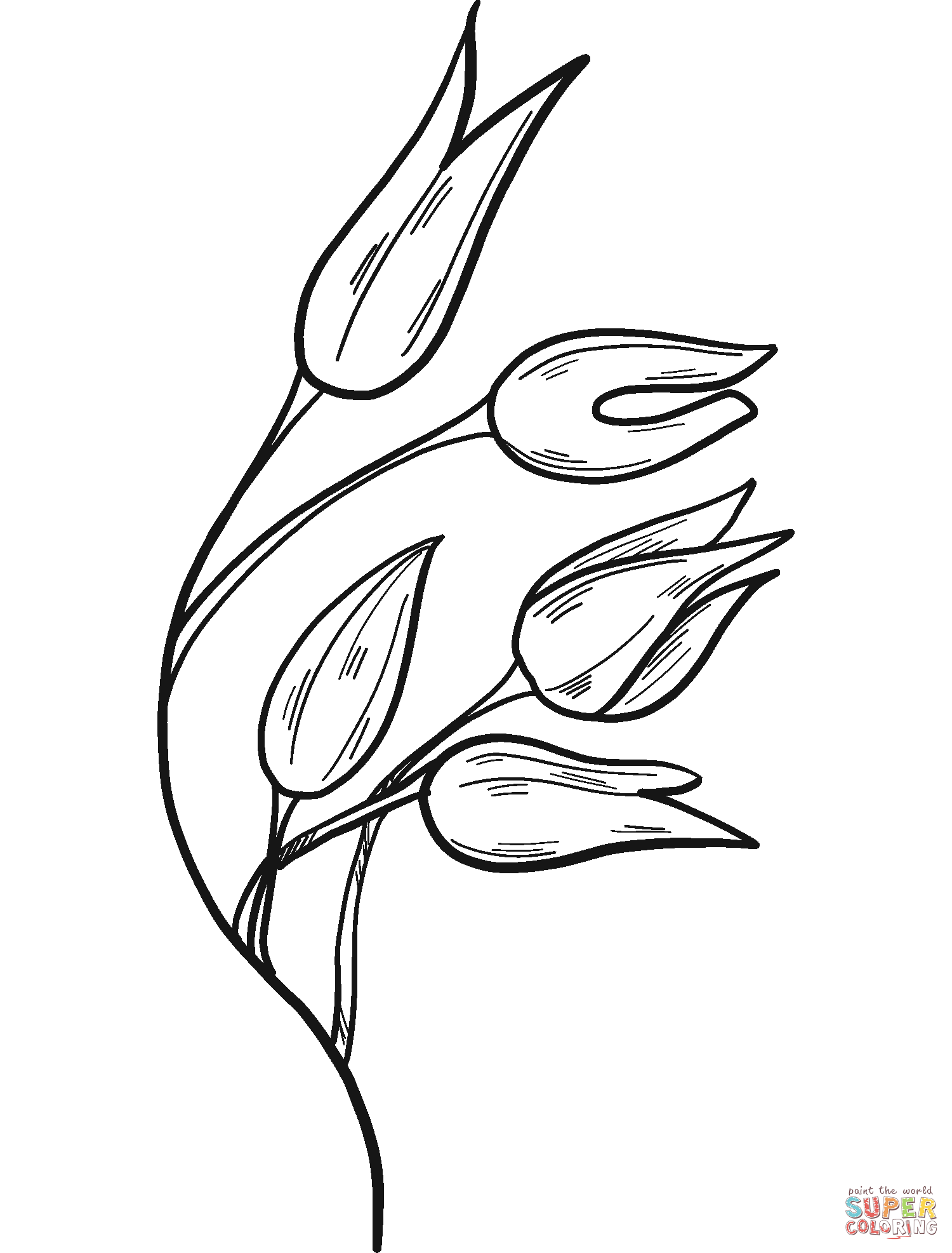 Wheat Coloring Pages
