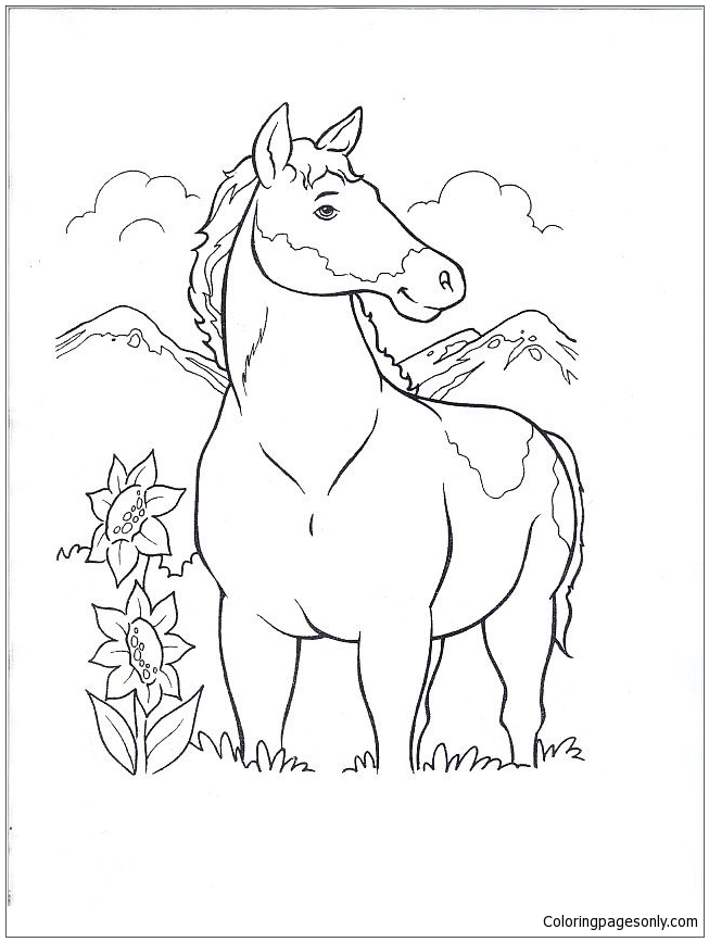 Wild Horse 1 Coloring Page - Free Printable Coloring Pages