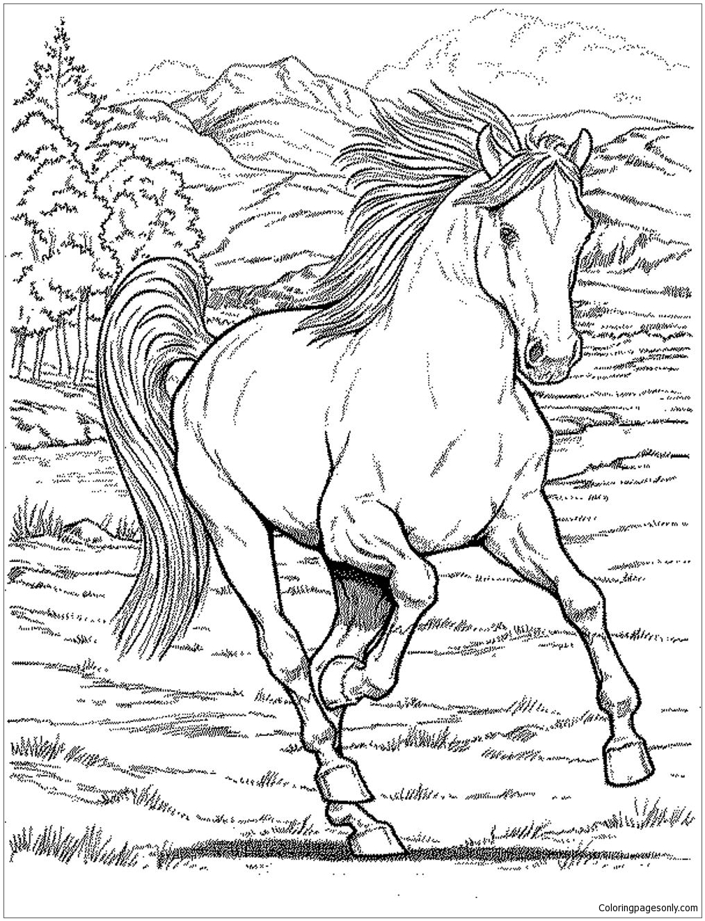 Desenhos para colorir de desenho de um cavalo selvagem para