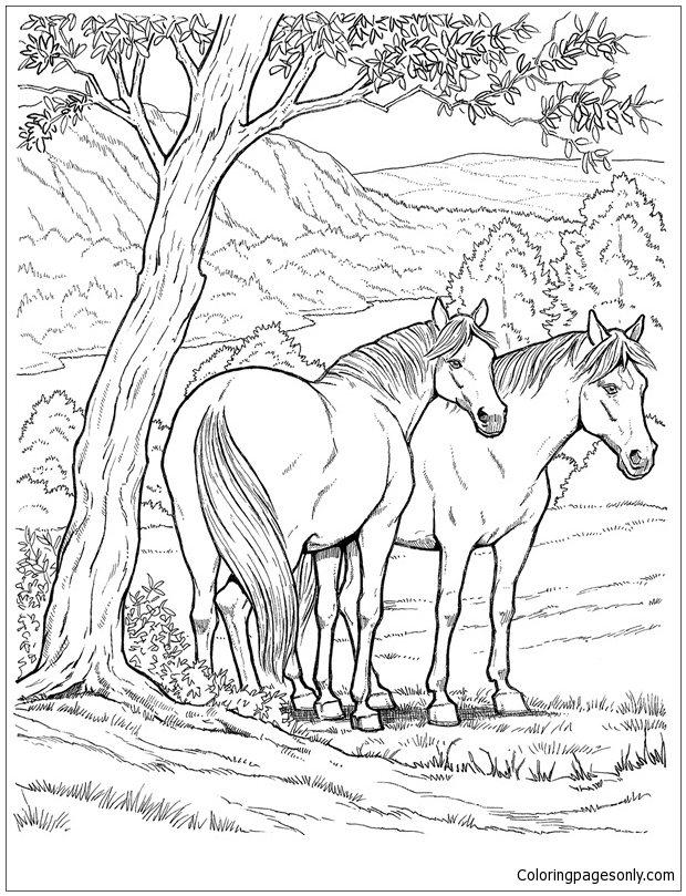 Wild Horse Coloring Pages - Horse Coloring Pages - Free Printable