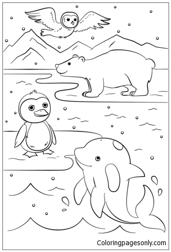 Раскраска Зимние животные