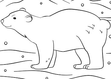Winter Bear Coloring Page