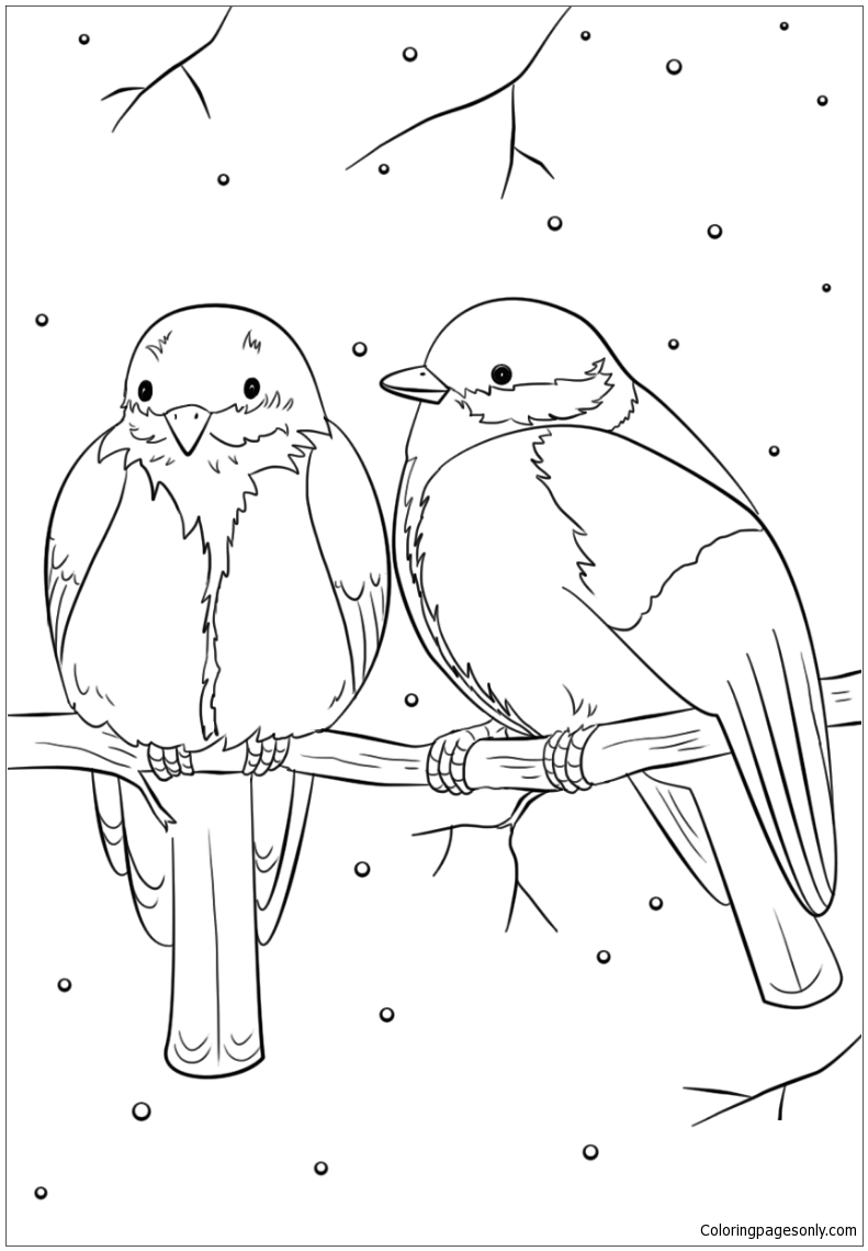 Winter Birds Coloring Pages - Winter Coloring Pages - Coloring Pages