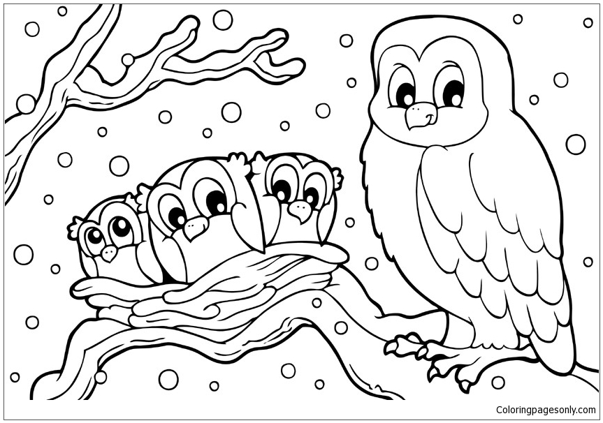 Winter Snowy Owl Coloring Page Free Printable Coloring Pages