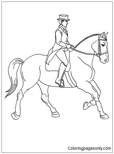 女人训练一匹马从马